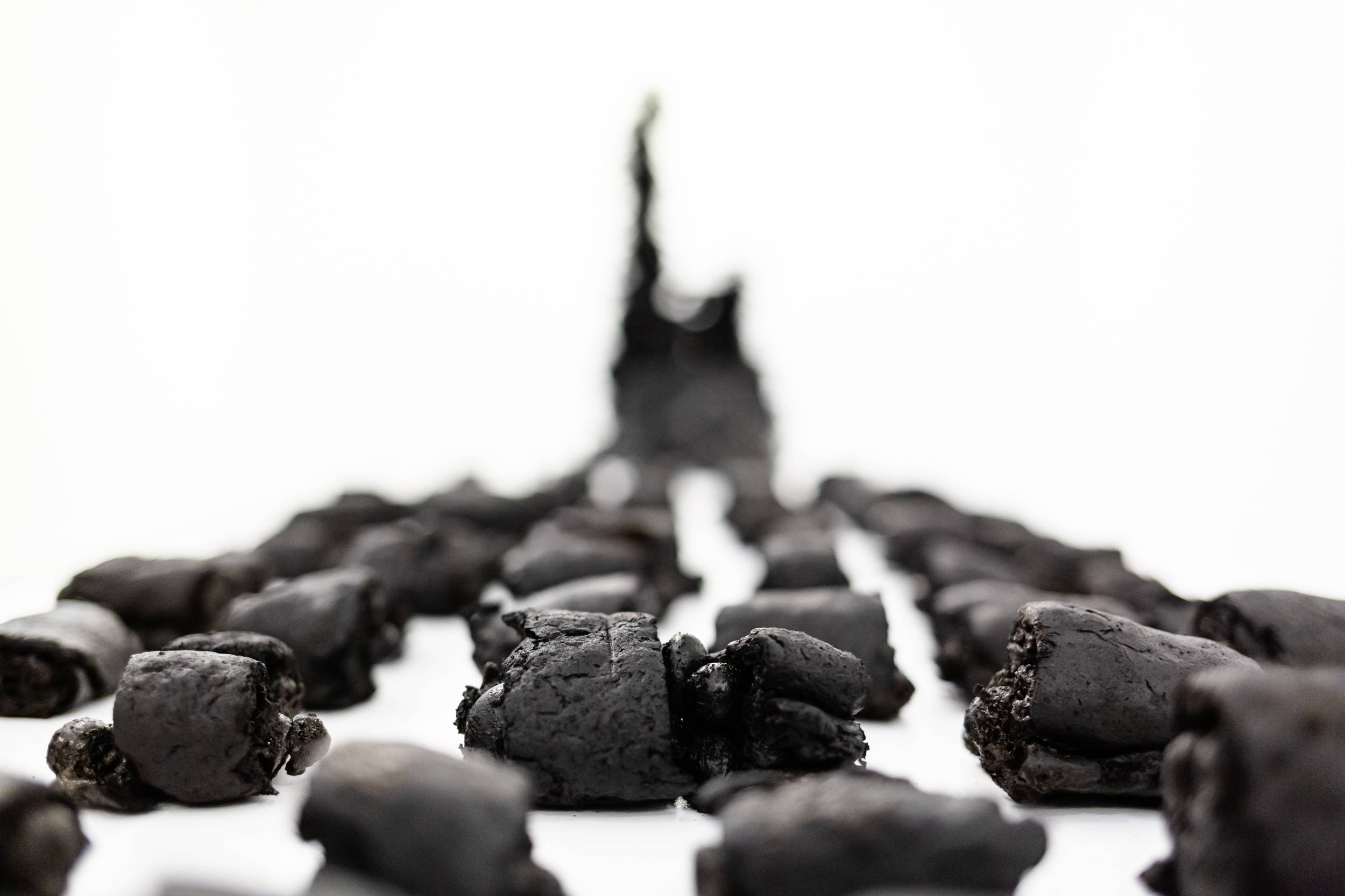 Dining with Others  - Installation documentation. Haifa museum 2023.